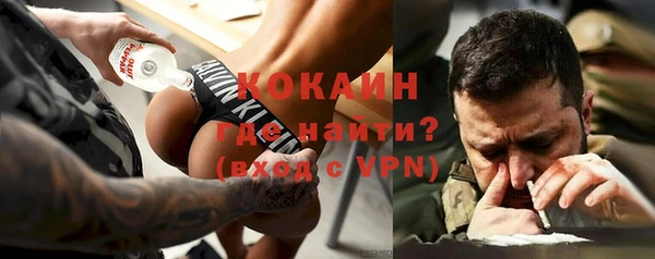 спайс Няндома