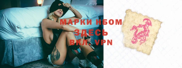 спайс Няндома