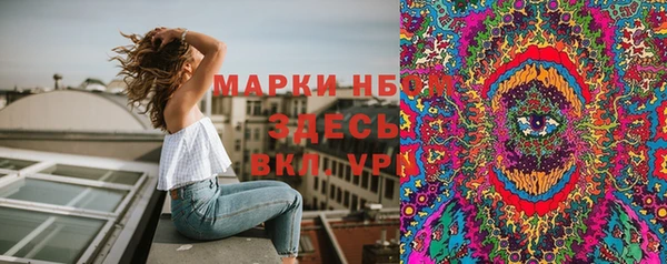 сатива Осинники