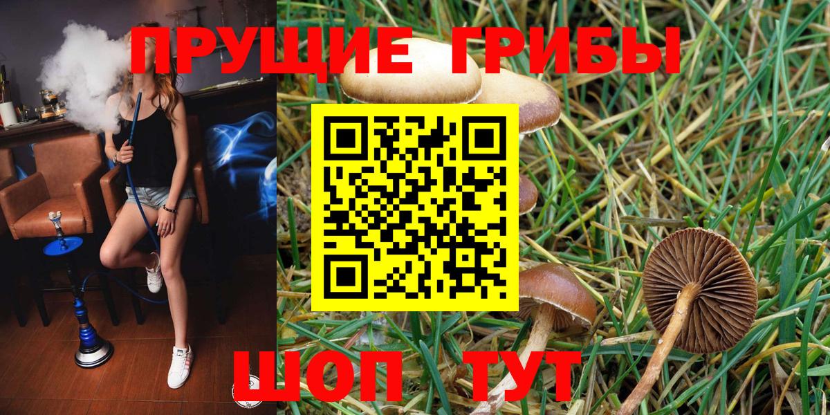 Псилоцибиновые грибы Psilocybe  Лиски  Галлюциногенные грибы Cubensis 